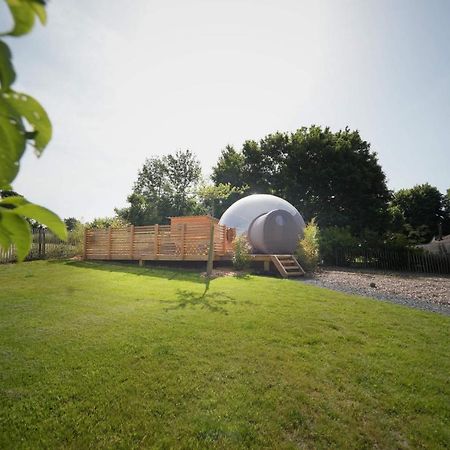 Bulles Odette & Ginette Et Tiny House Suzette "Au Guet Marais" Etape Insolite Paliseul Екстериор снимка