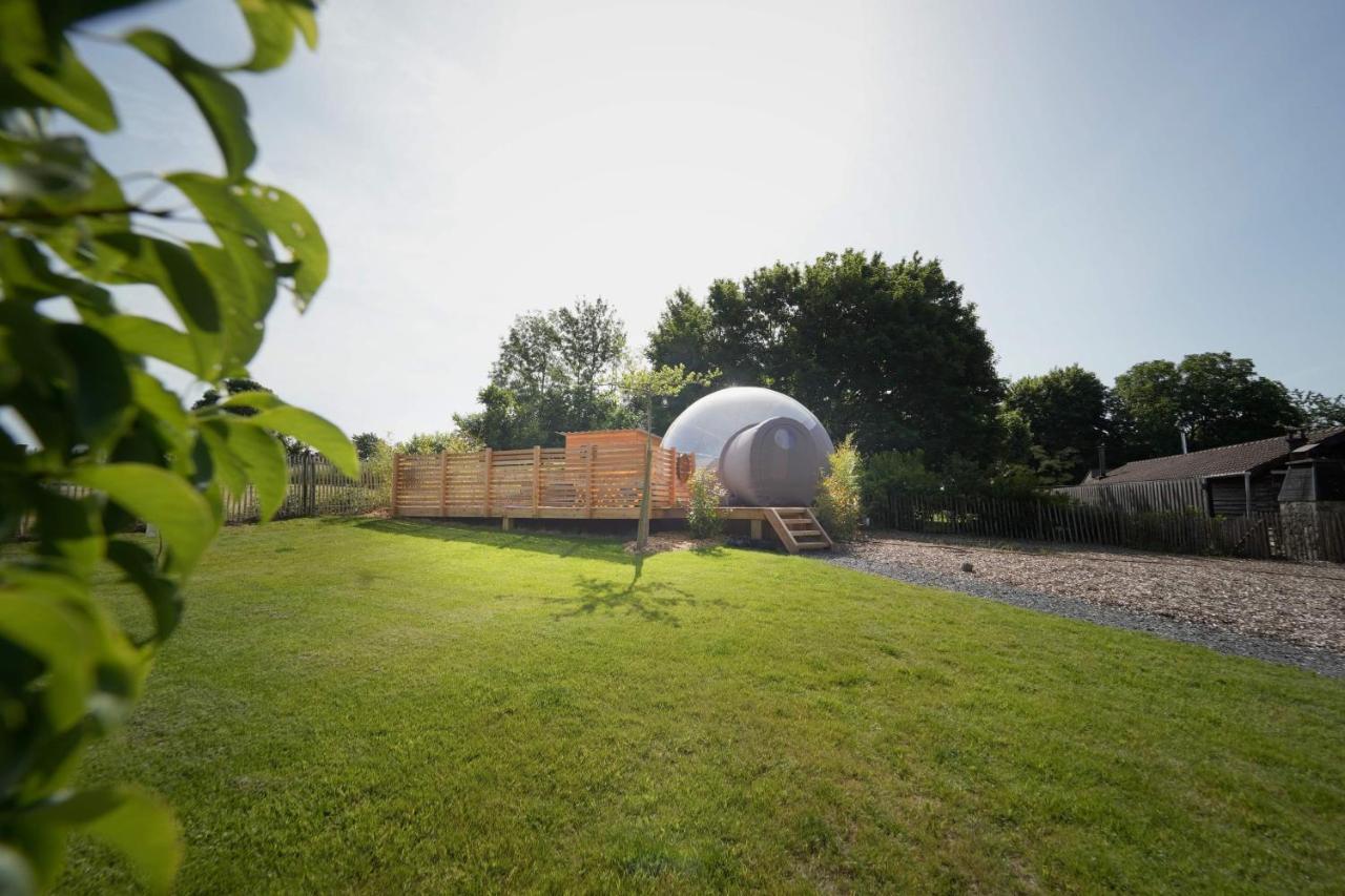 Bulles Odette & Ginette Et Tiny House Suzette "Au Guet Marais" Etape Insolite Paliseul Екстериор снимка