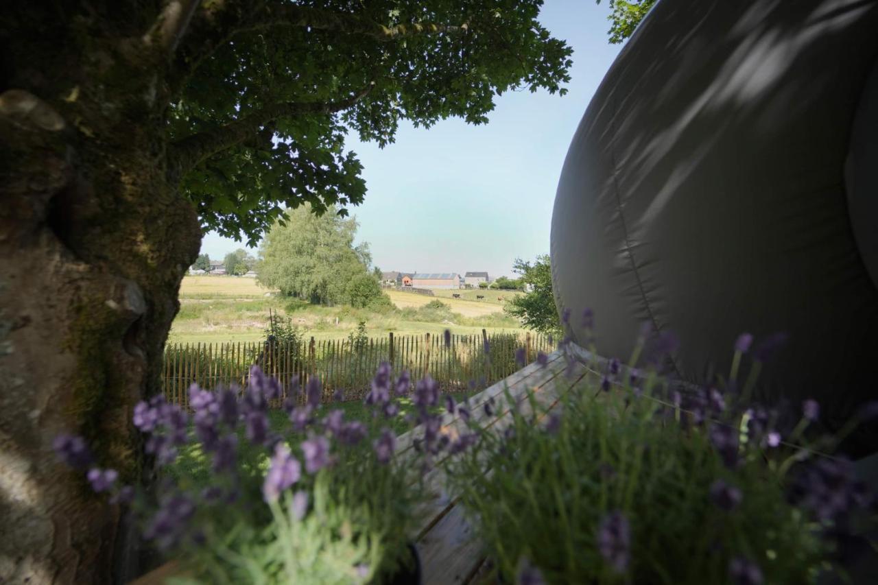 Bulles Odette & Ginette Et Tiny House Suzette "Au Guet Marais" Etape Insolite Paliseul Екстериор снимка