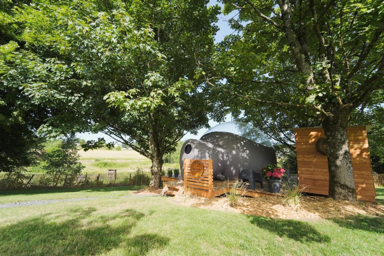 Bulles Odette & Ginette Et Tiny House Suzette "Au Guet Marais" Etape Insolite Paliseul Екстериор снимка
